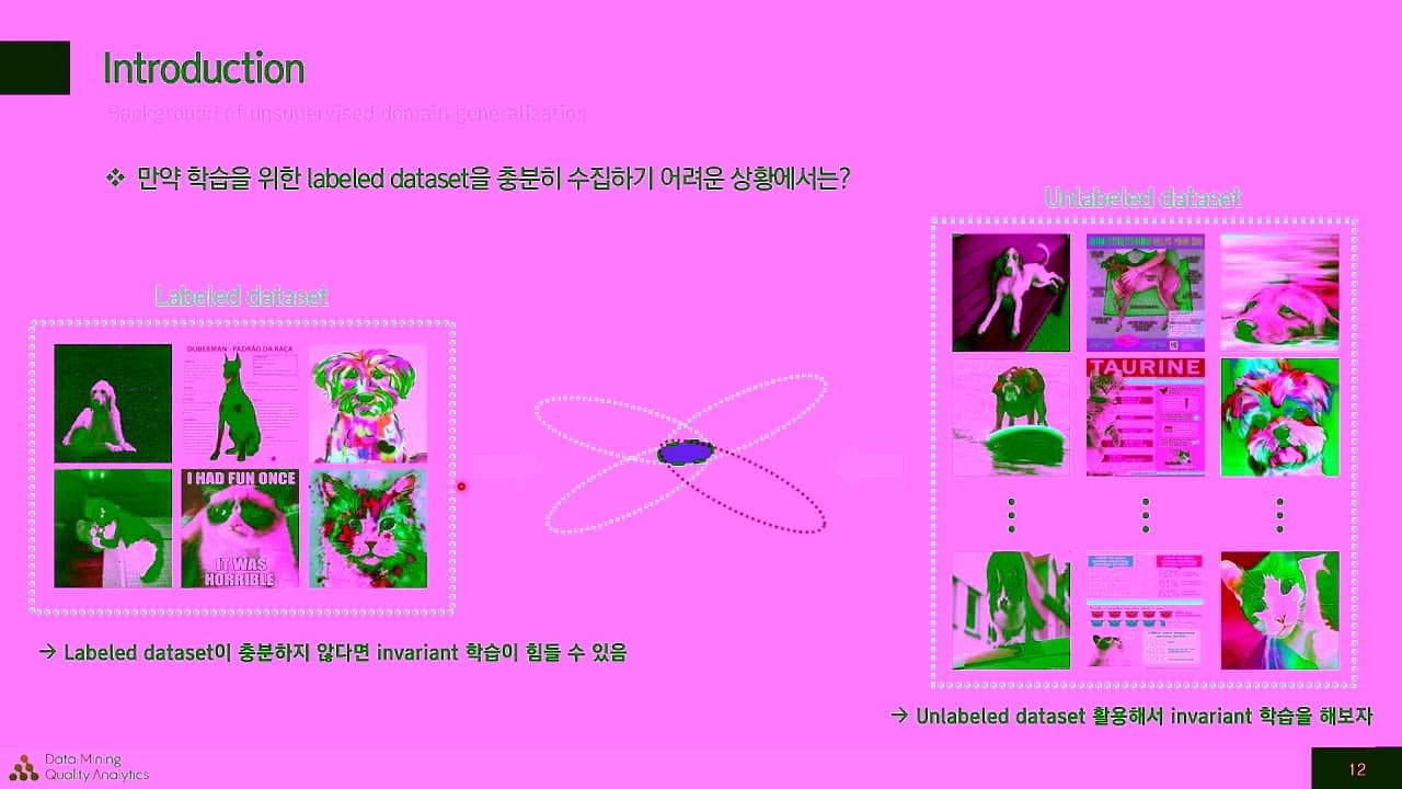 라벨 없는 데이터로 '스타일에 흔들리지 않는' 모델 만들기 — 비지도 도메인 일반화 세미나 영상 대표 이미지