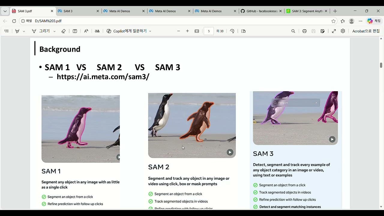 "펭귄"이라고 쓰면 영상 속 펭귄을 모두 찾아낸다, 메타 SAM 3 논문 뜯어보기 영상 대표 이미지