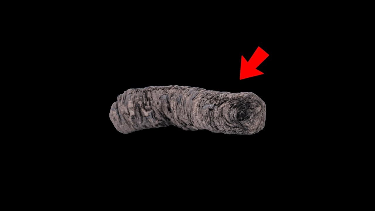 펼치면 부서지는 2천 년 전 두루마리, AI가 CT 사진에서 글자를 읽어냈다 영상 대표 이미지