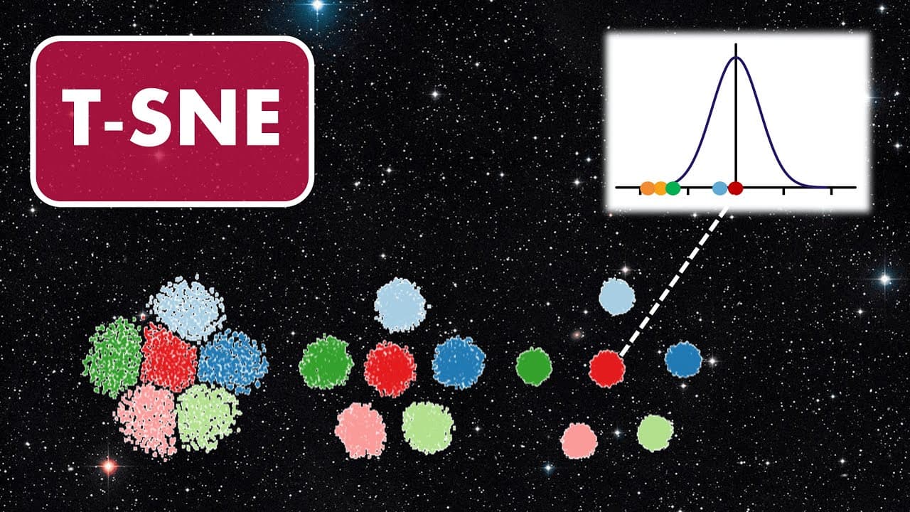 고차원 데이터를 지도처럼 펼치는 t-SNE, 원리부터 대규모 확장까지 영상 대표 이미지