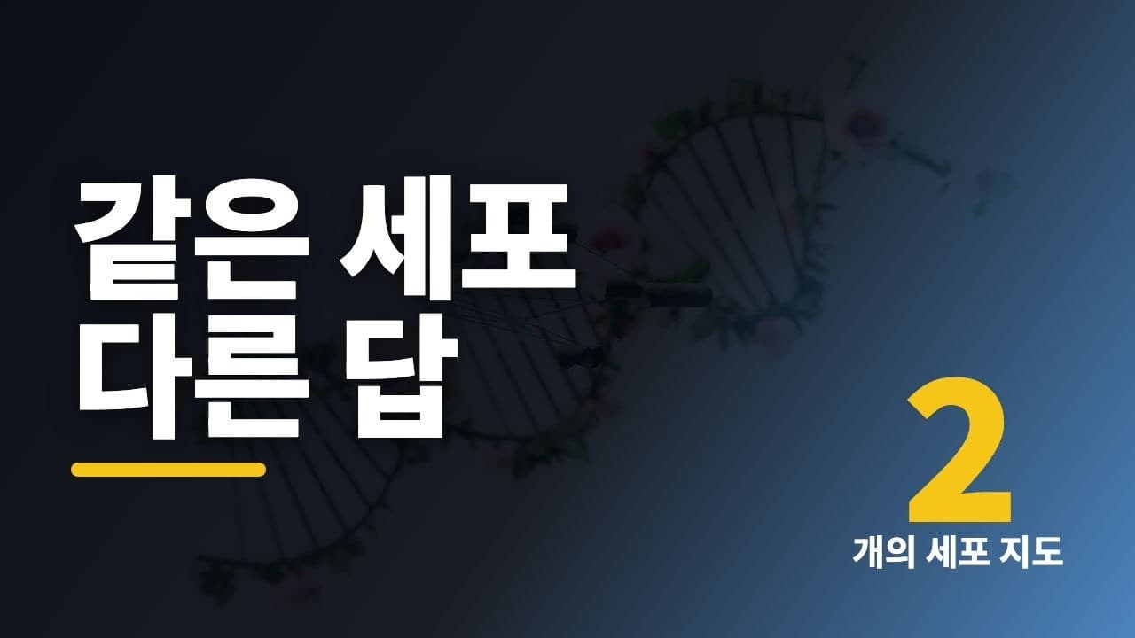 세포 8만 6천 개를 하나씩 읽었더니, 정체성의 지도가 두 갈래로 갈라졌다 영상 대표 이미지